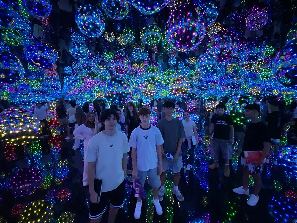 gallery